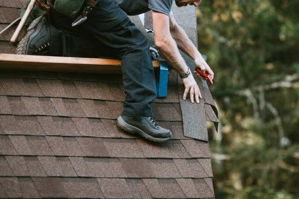 Roof Gutter Cleaning in La Porte City, IA